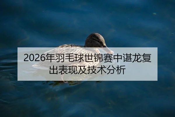 2026年羽毛球世锦赛中谌龙复出表现及技术分析