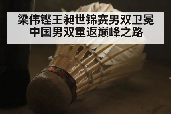 梁伟铿王昶世锦赛男双卫冕中国男双重返巅峰之路