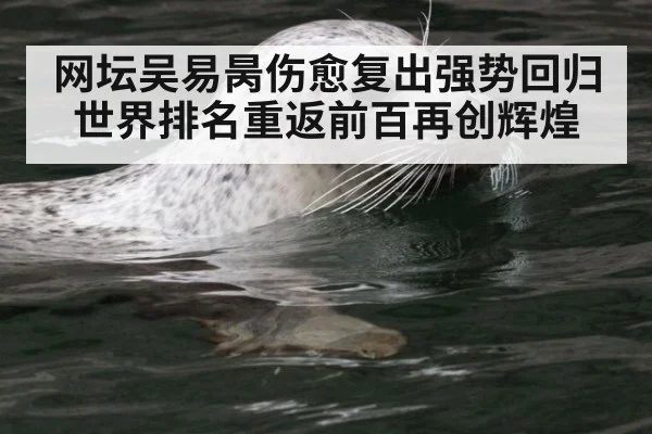 网坛吴易昺伤愈复出强势回归 世界排名重返前百再创辉煌